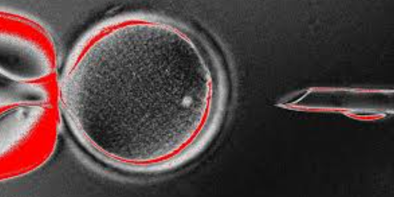 La clonación humana ¿Un proceso sin ética?