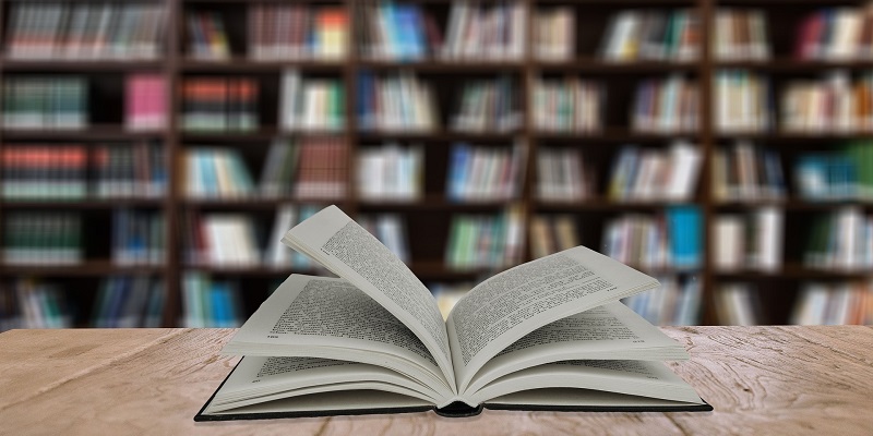 Daniel Sapia No Dice la Verdad – Documentación