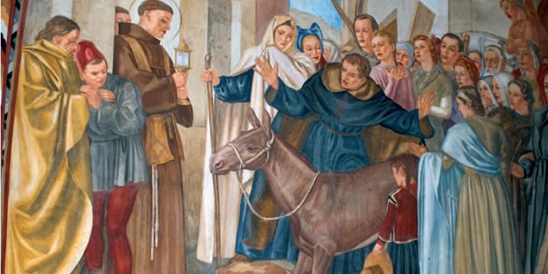 San Antonio y la mula